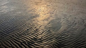 A beach with a sunlit sky and distant hills. - Marram Cottage - Cosy, well equipped, family, beach house (Chathill)