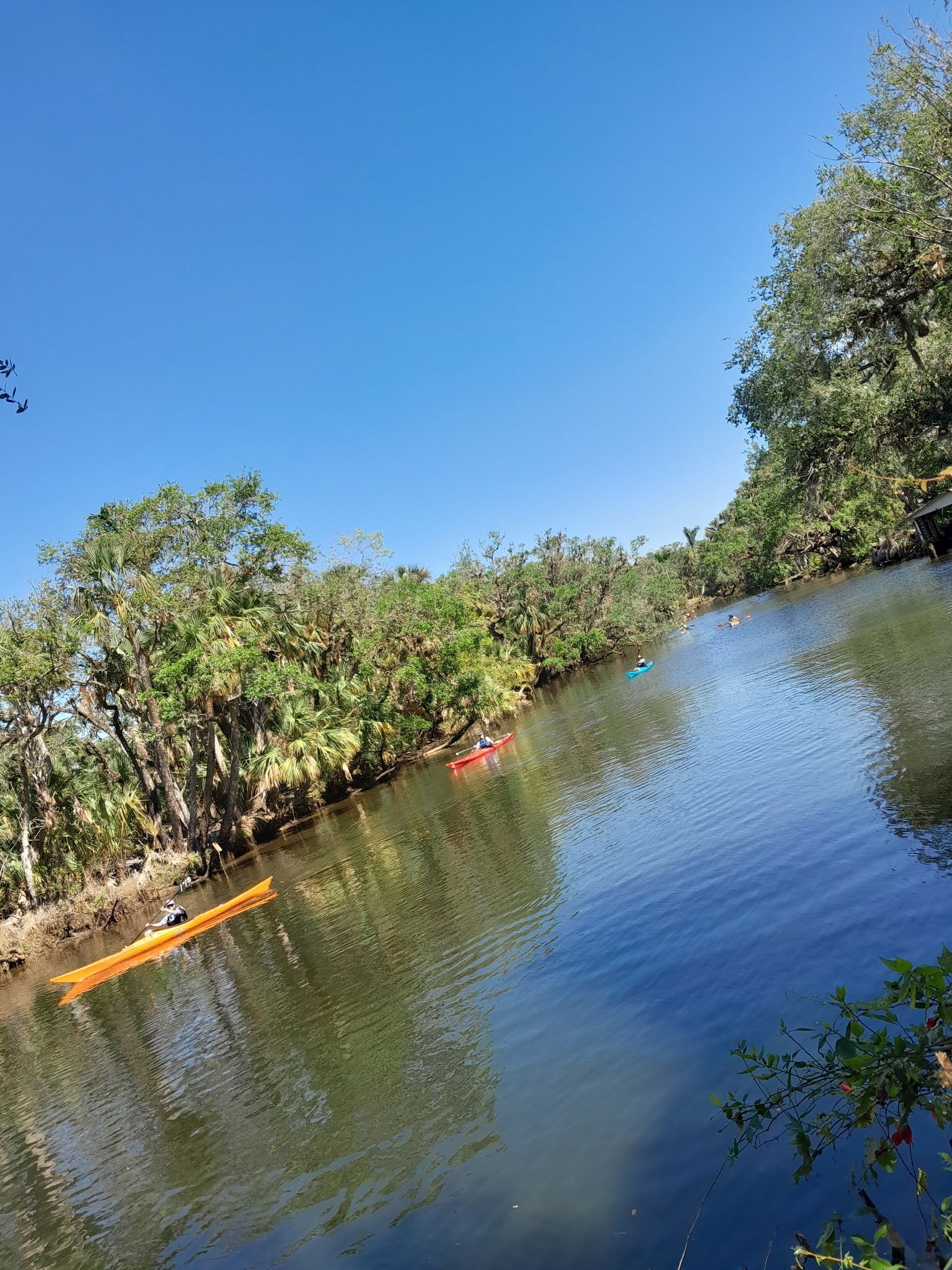 A calm river with kayaks, surrounded by dense greenery and trees.