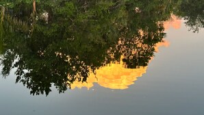 A calm lake reflecting dense greenery and trees. - Charming cottage on the ORANGE RIVER in Fort Myers Fl. Pool ,Kayaks, AC, WiFi (Fort Myers)