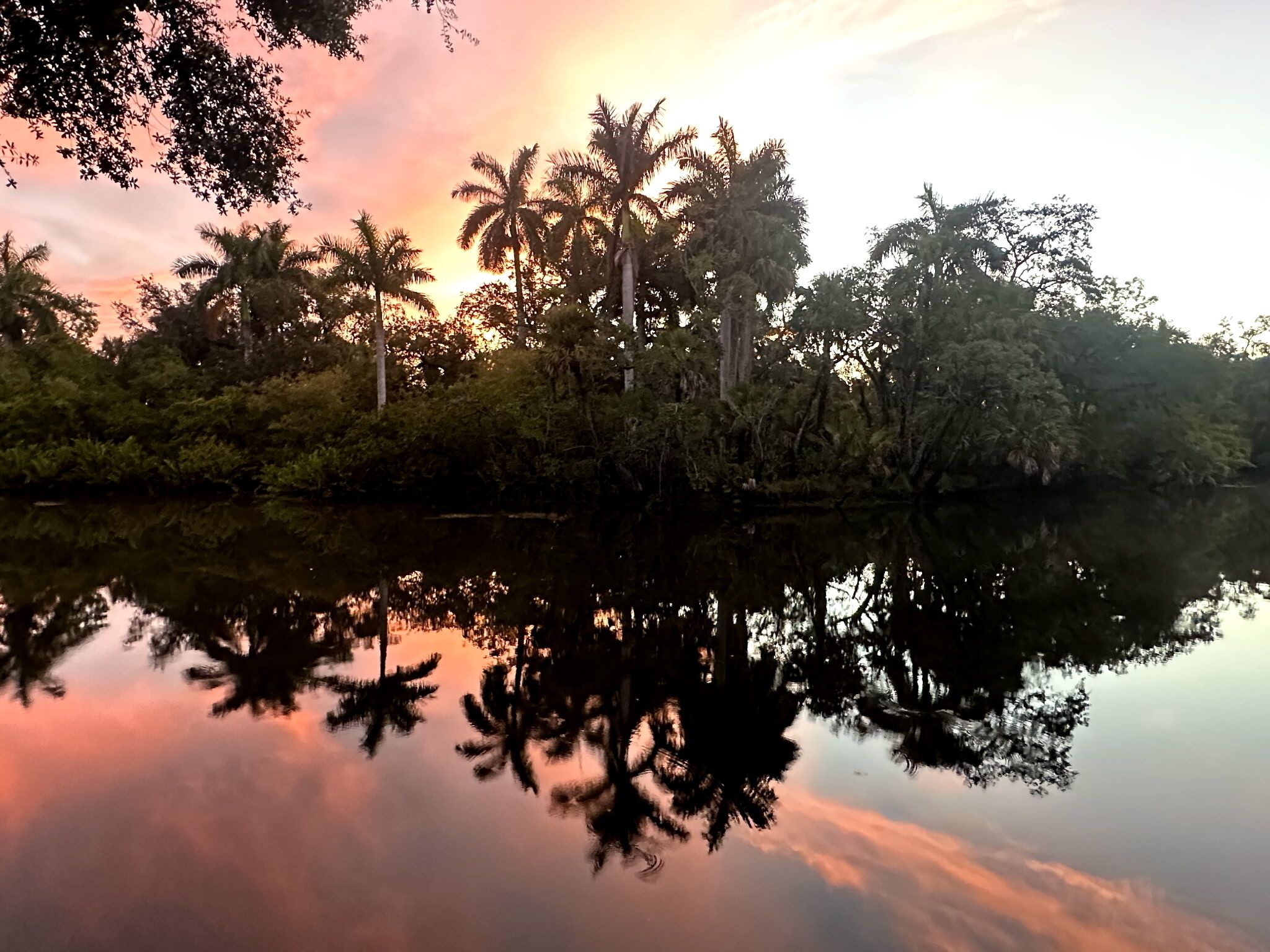 A calm river reflecting trees and a sunset.