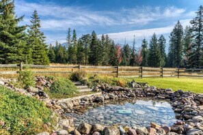 Property grounds - Montana Mountain Getaway - Cabin in the Foothills (Kalispell)