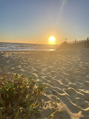 Una playa cerca