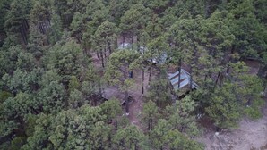 An aerial view of a forested area with a small cabin surrounded by dense trees. - CABAÑAS BATOSARACHI (Bocoyna)
