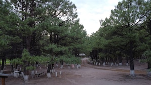 A pathway lined with evenly spaced trees, benches, and a distant building. - CABAÑAS BATOSARACHI (Bocoyna)
