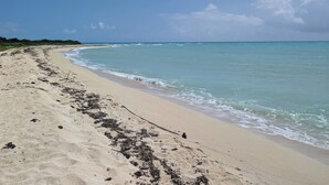 A sandy beach with gentle waves and a clear sky. - "Spectacular Ocean Views" at Calypso Castillo! (Sion Farm)