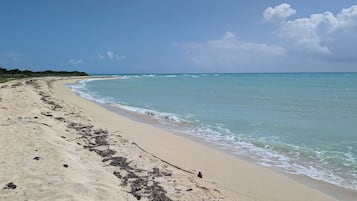 Camastros y toallas de playa
