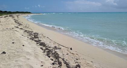 "Spectacular Ocean Views" at Calypso Castillo!