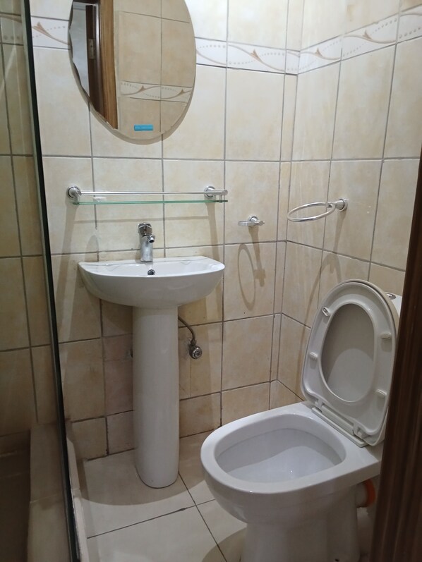 Een kleine badkamer met een wastafel, toilet en een douchecabine van glas.
