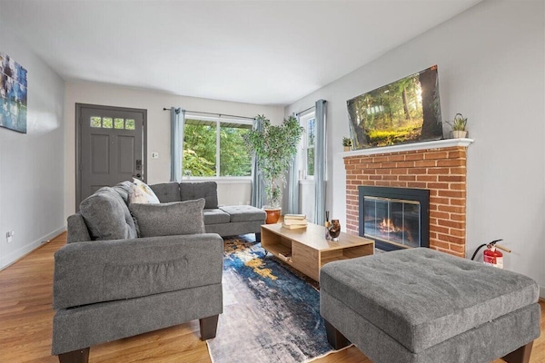 Smart TV, chimenea y libros