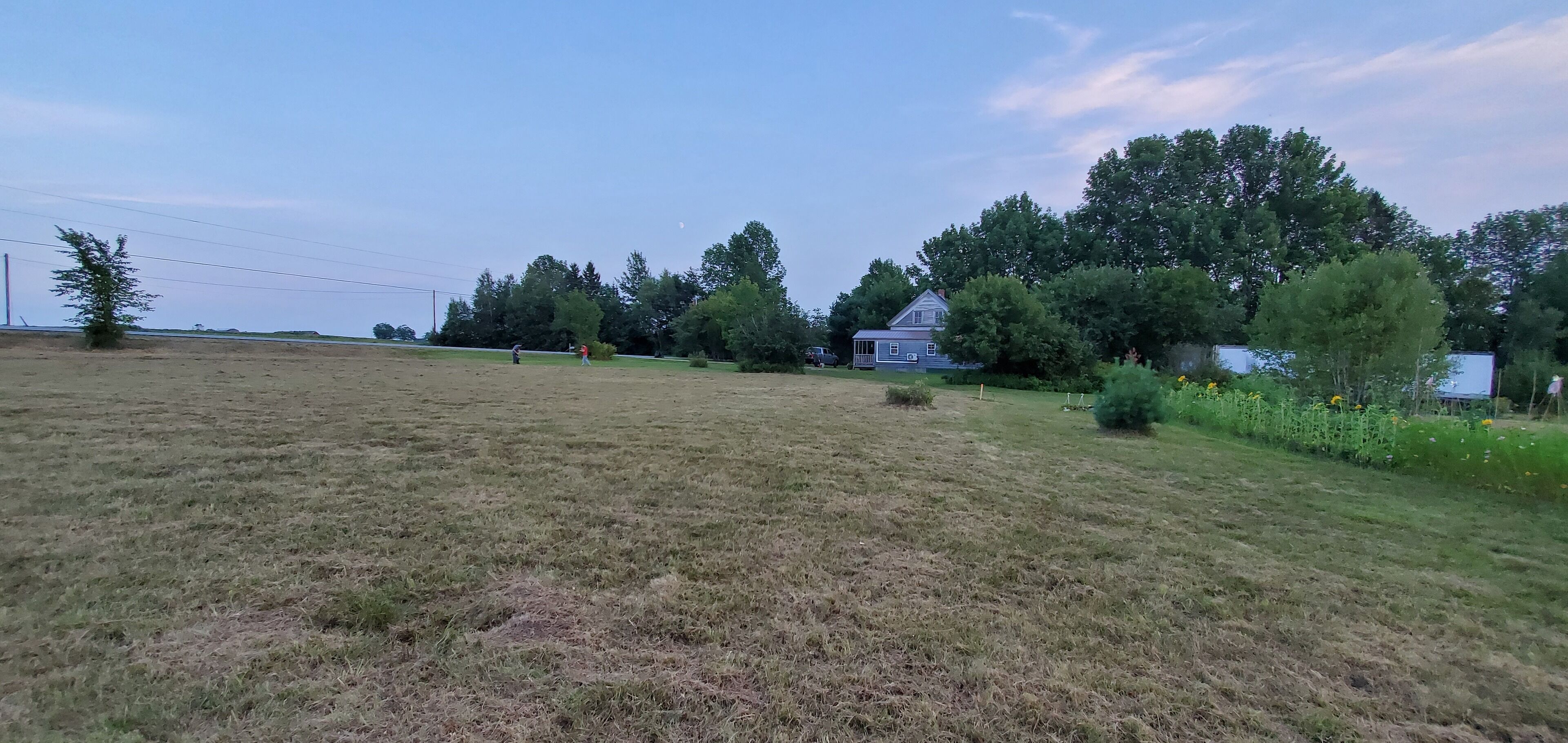 Eine Wiese mit einem Haus und Bäumen im Hintergrund.