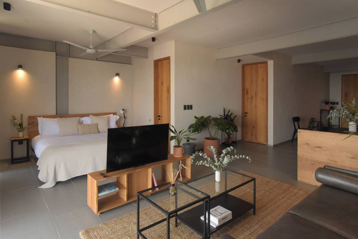 Una habitación de hotel moderna con cama, televisión, mesa de centro y plantas en macetas.