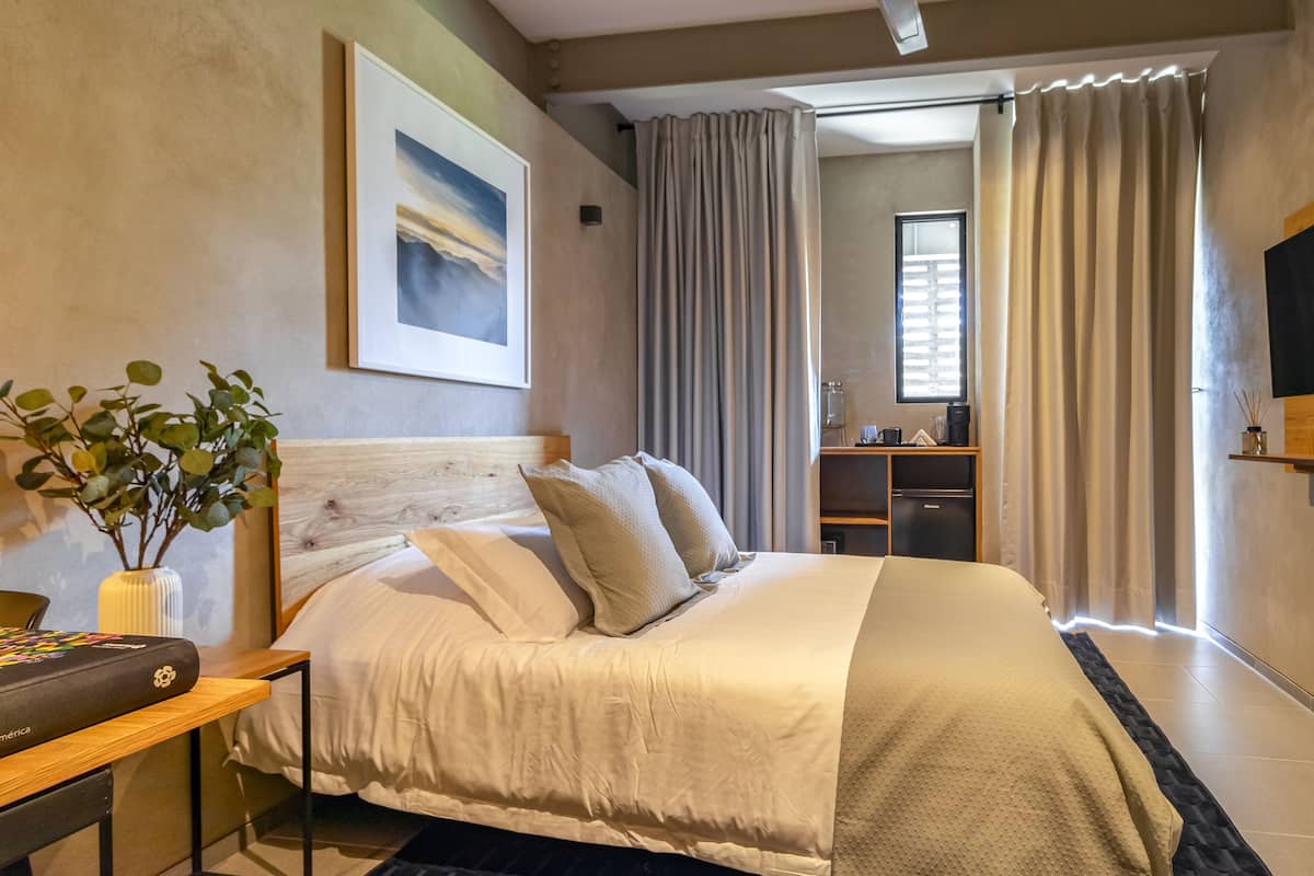Un dormitorio ordenado con cama, escritorio, silla, planta y televisor en la pared.