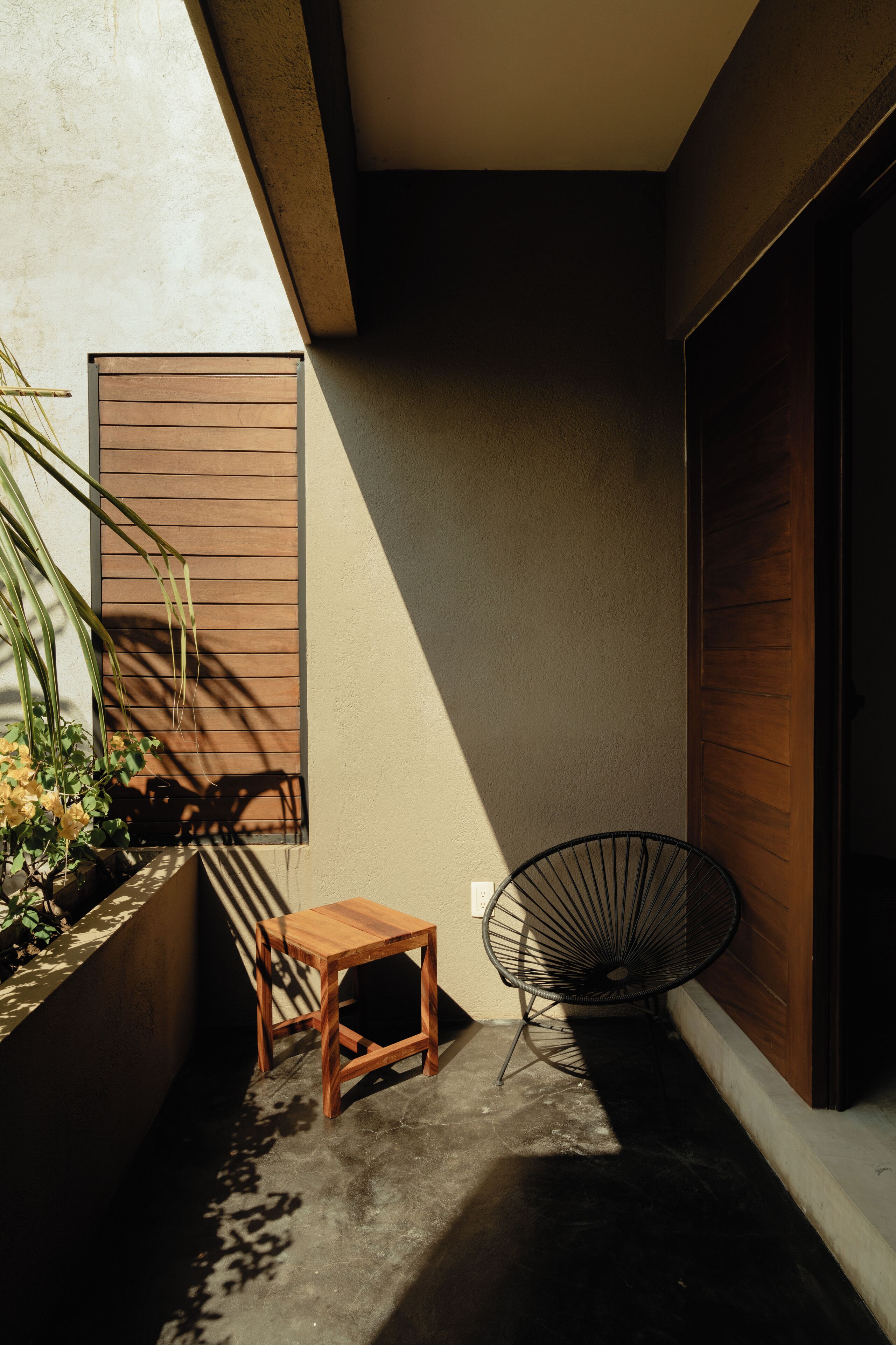 Terraza o patio