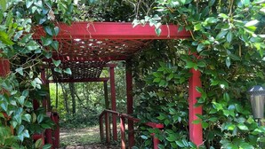 A stone pathway leading through a red pergola surrounded by lush greenery.