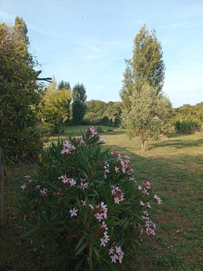 Property grounds - Maison à la Campagne (Meursac)
