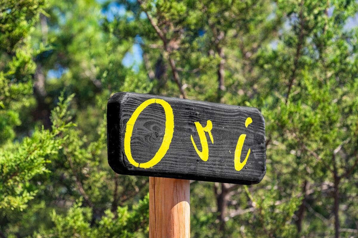 A wooden sign with the word "Ovi" painted in yellow.