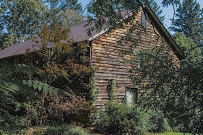 A rustic wooden cabin surrounded by dense foliage.