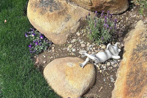 Details aan de buitenkant