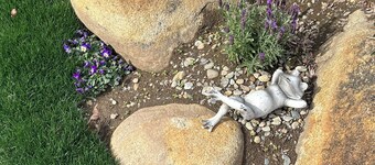 Step away from the noise of the city and into a country home get away