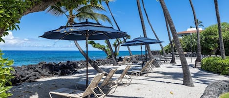Condo, 1 cama Queen size y sofá cama (Kona Isle B3) | Áreas de la propiedad