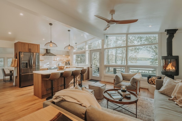 Smart TV, chimenea, libros y monitor de computadora