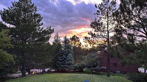 A grassy outdoor area with Adirondack chairs and a fire pit. - Charming 3-bedroom house Parker (Parker)