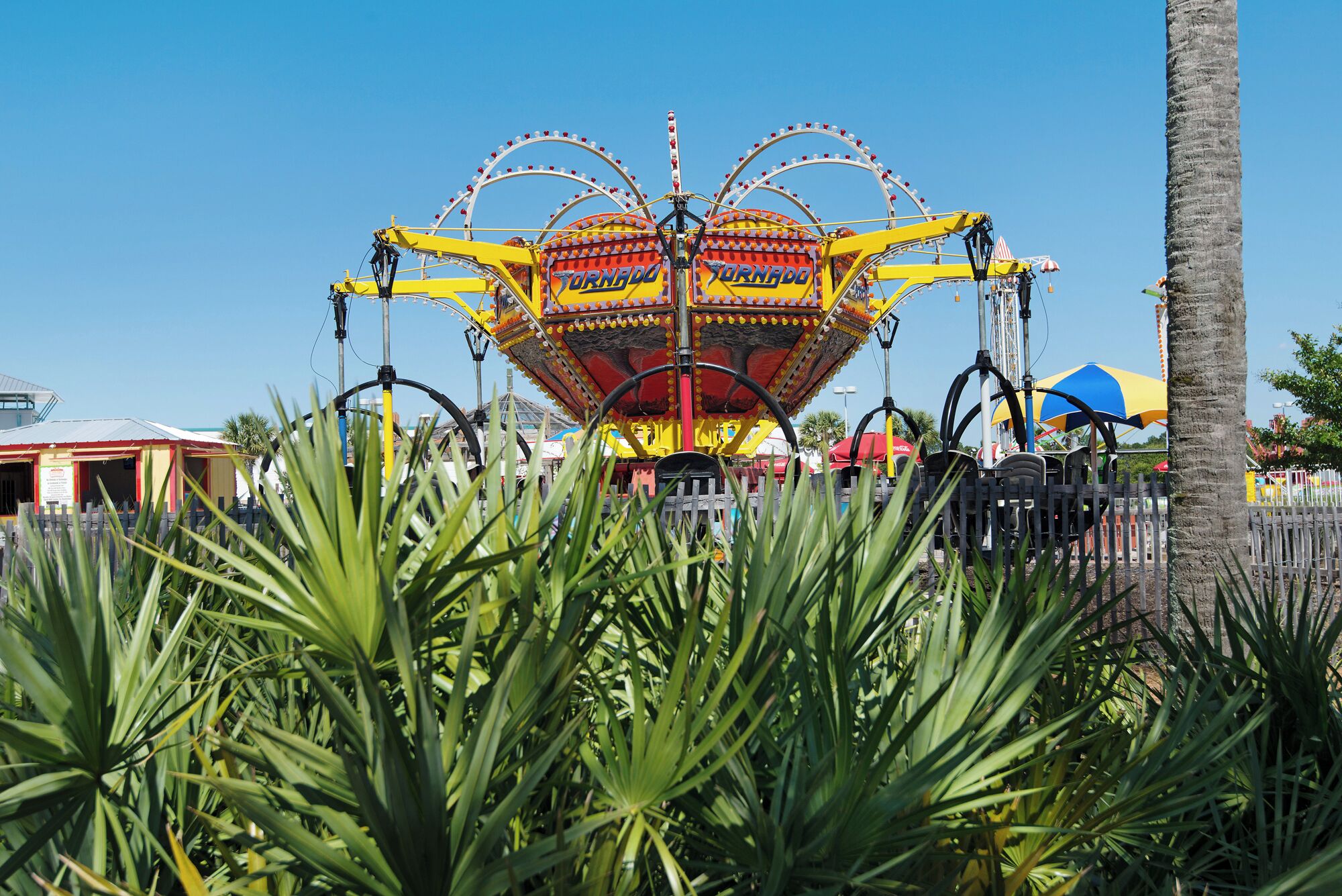 A Ferris wheel with a heart-shaped cabin design, surrounded by palm trees and a clear blue sky.