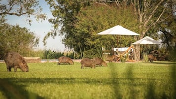 Áreas de la propiedad