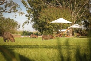 Áreas de la propiedad