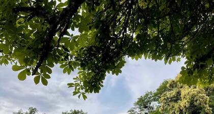 Flore (Vive le Vert)