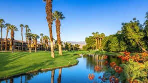 Property grounds - Relax at Marriott's Desert Springs Villas II: Cozy Studio, Golf & Resort Bliss! (Palm Desert)