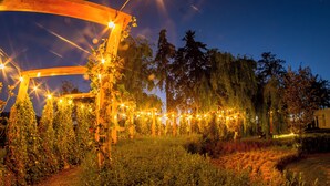 A garden with a wooden pergola and string lights. - Hotel Boutique Monte Penasco (Jilotepec)