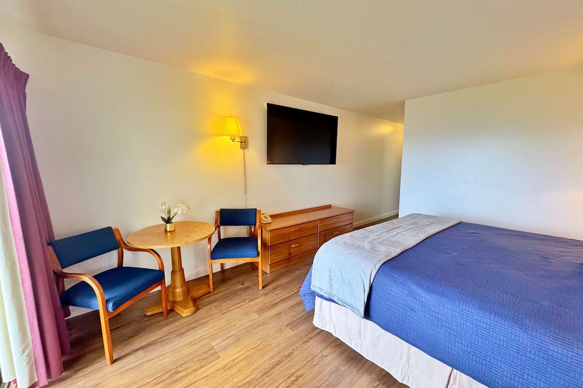 Habitación de hotel con cama, dos sillas, una mesita con un florero, cómoda y televisor montado en la pared.