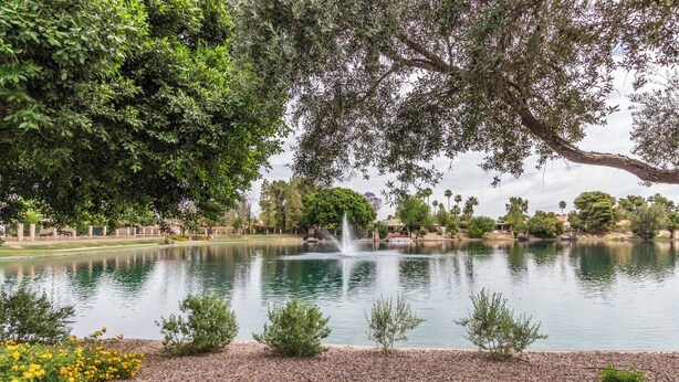 A tranquil park with a pond, a fountain, and a variety of trees.
