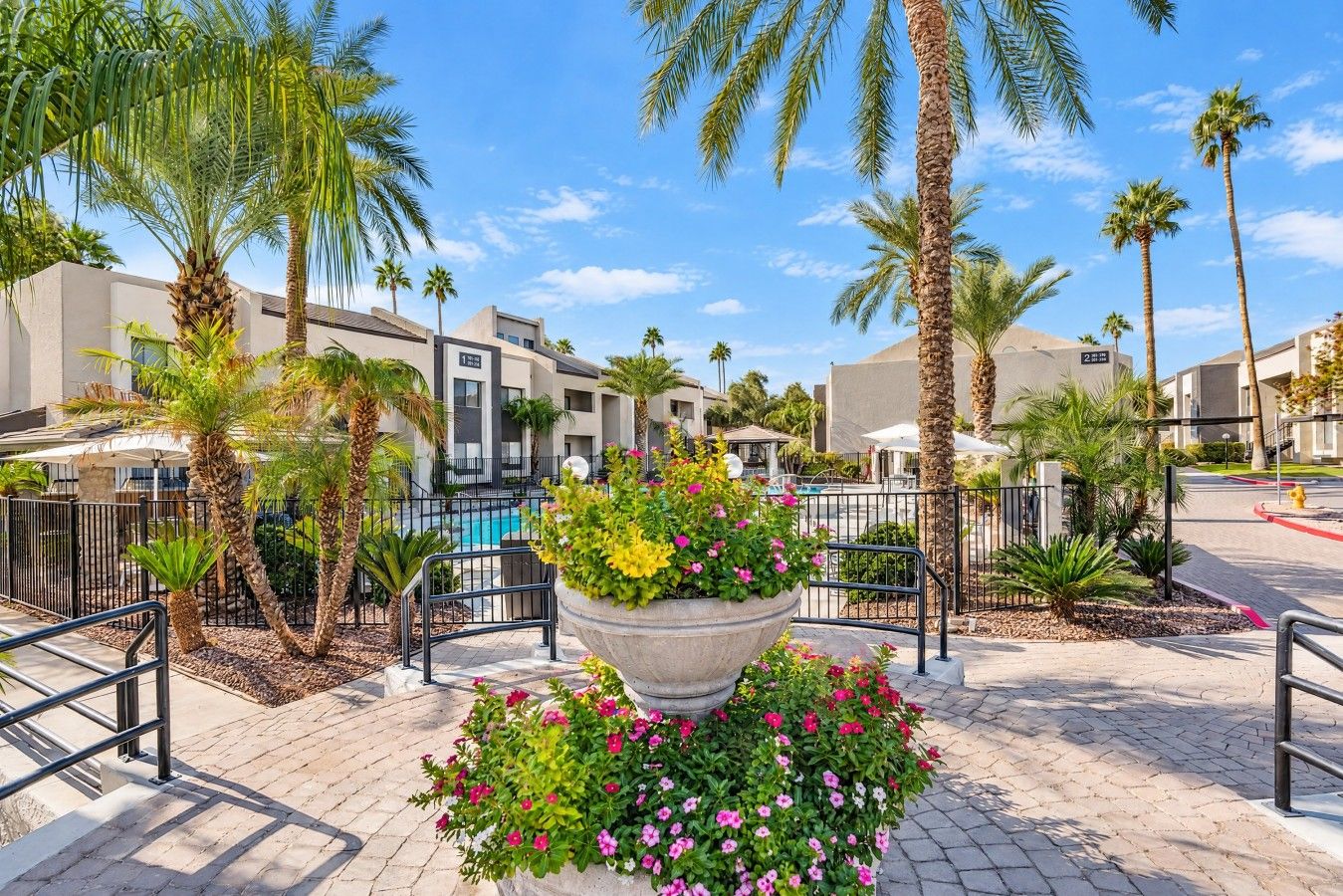 A hotel courtyard with palm trees, a swimming pool, and a large planter with flowers.