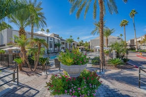 A courtyard with palm trees, a swimming pool, and a large planter with flowers.