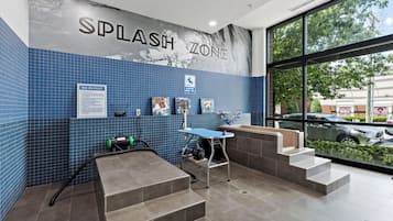 Un área de spa para perros con una pared de azulejos azules, un cartel que dice 'SPLASH ZONE' y vistas al exterior a través de una ventana.
