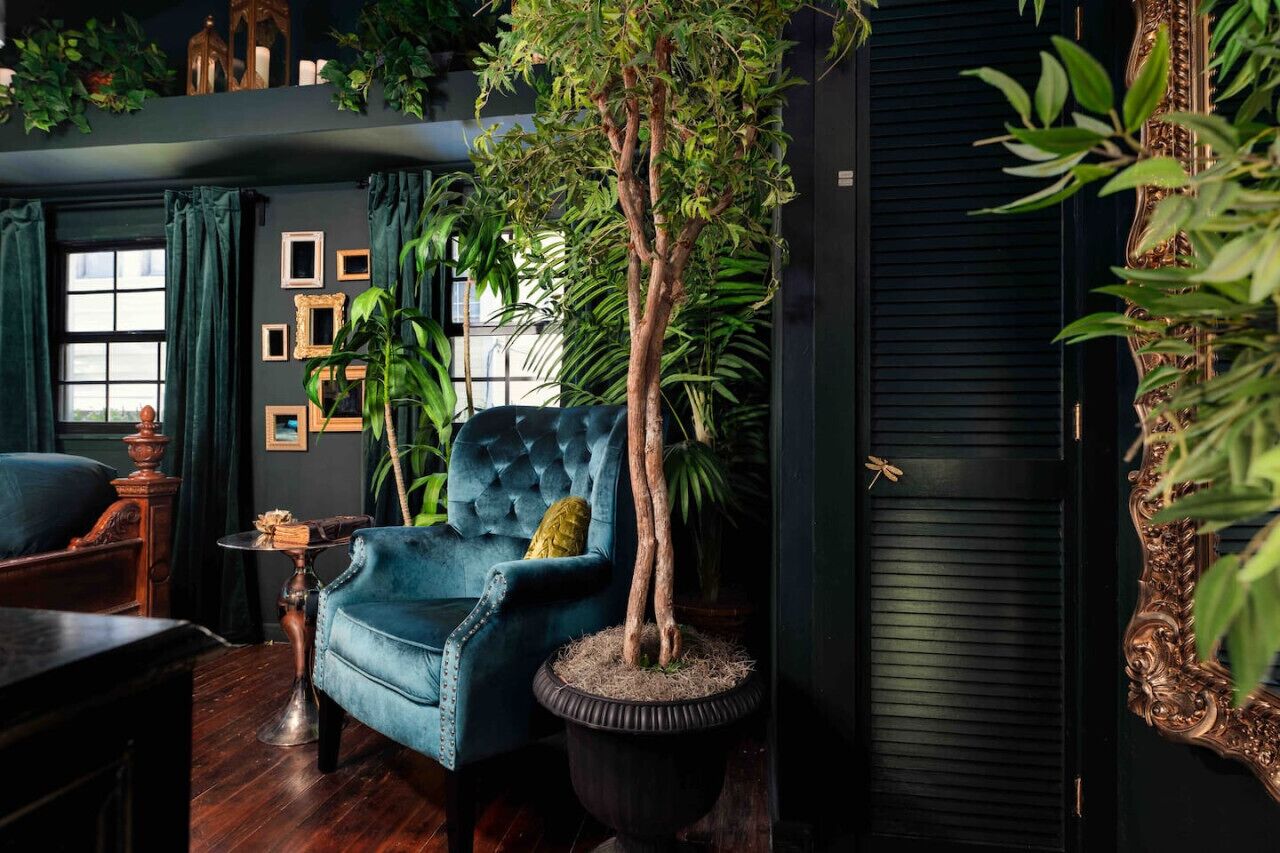Een kamer met een blauwe fauteuil, een potplant en een donkerdeur.