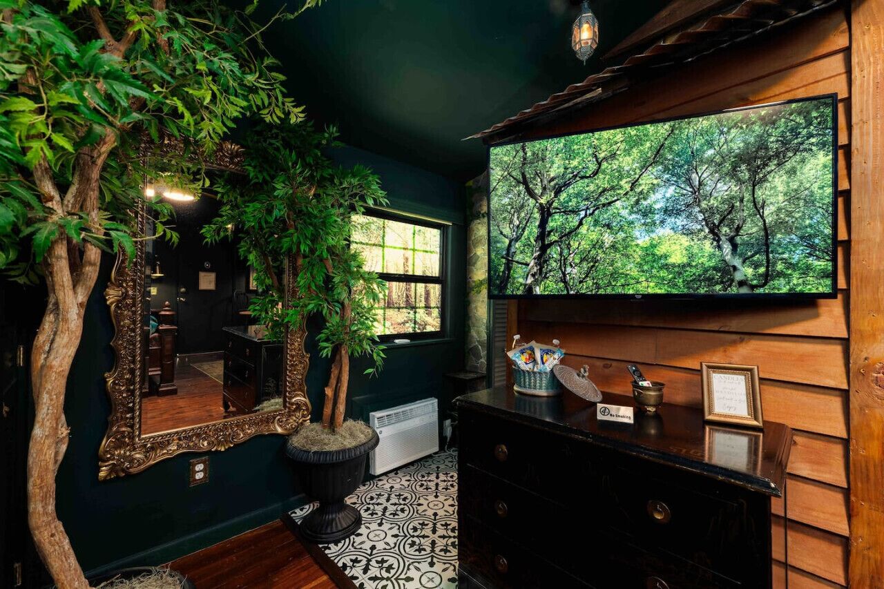 Una habitación con un espejo grande, un televisor mostrando una escena de bosque, un mueble de madera y una planta en maceta.