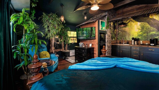 Ein Zimmer mit einem Bett, einem Deckenventilator, einem Fernseher und einer Küchenzeile.