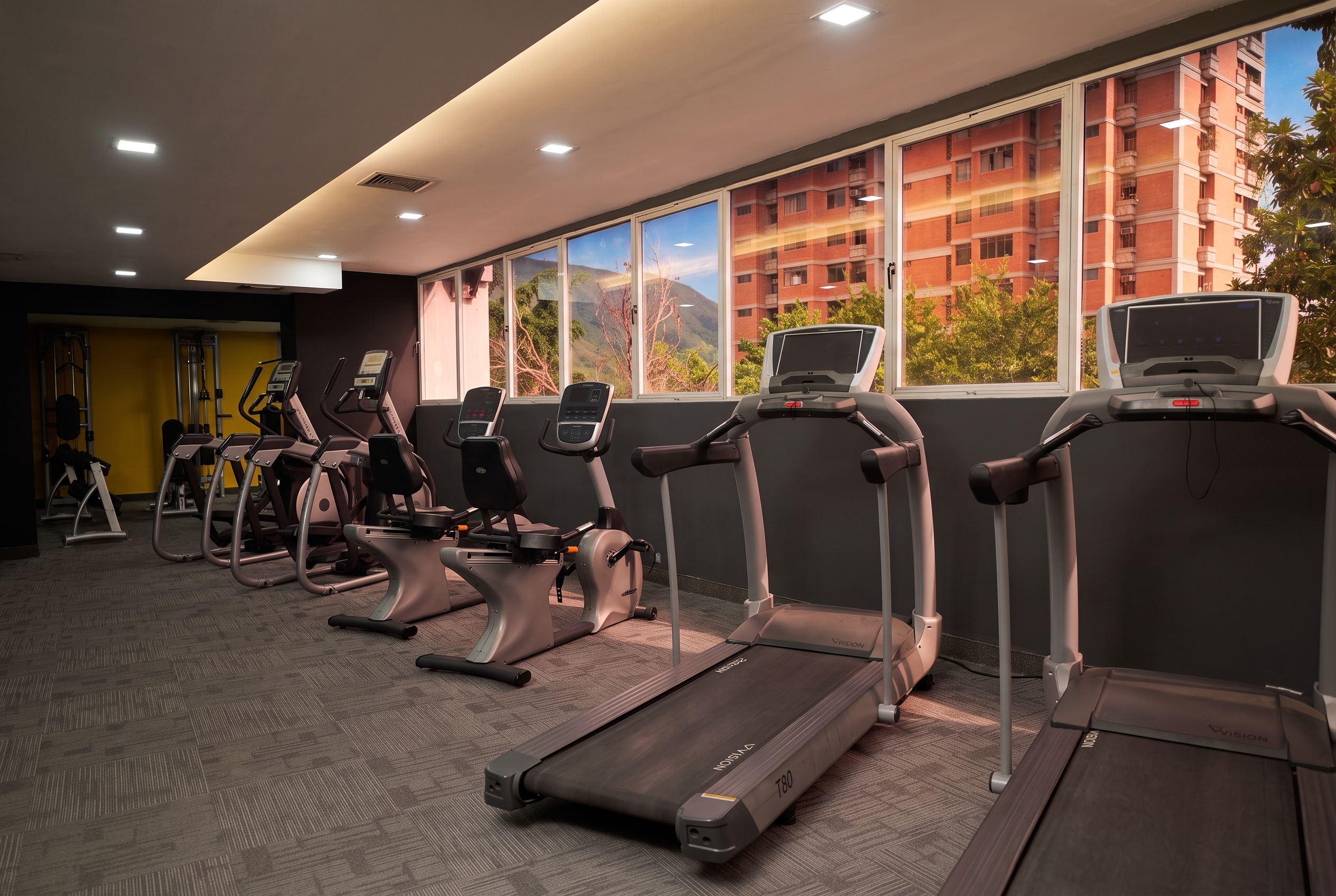 A gym with treadmills and elliptical machines, large windows with a view of buildings and trees, and a carpeted floor.