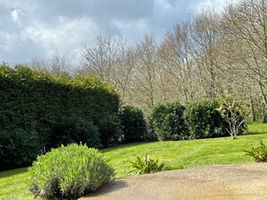 Property grounds - Bright, quiet house in La Forêt Fouesnant  (La Forêt-Fouesnant)