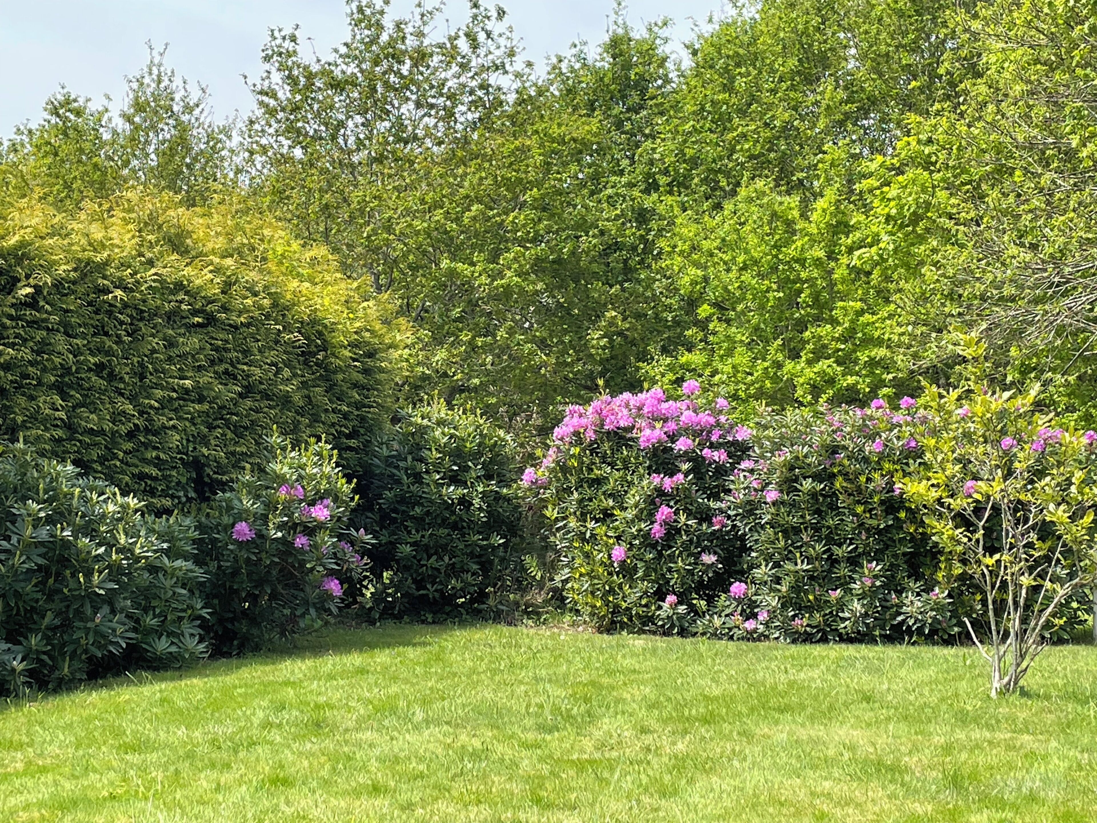 Áreas de la propiedad