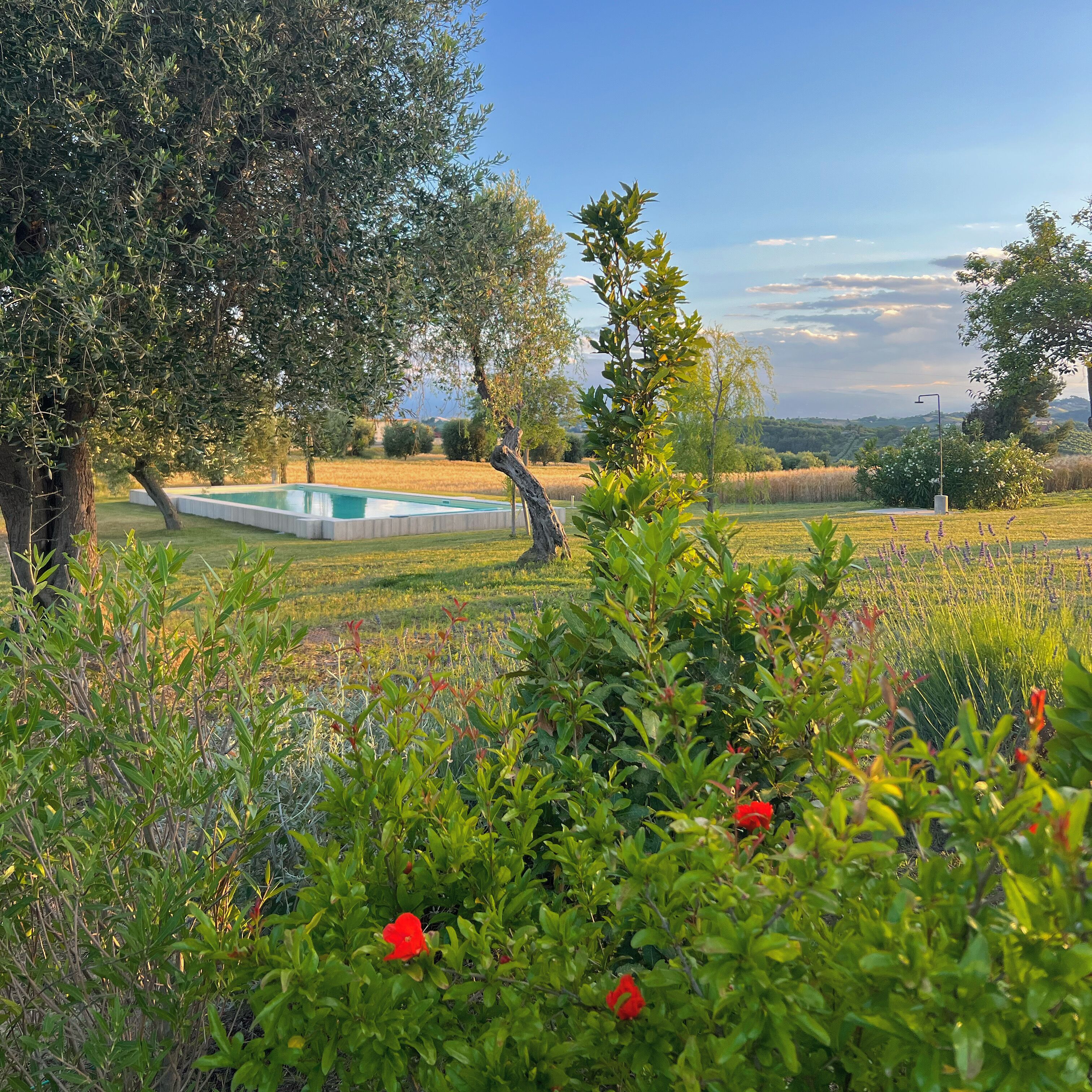 Parco della struttura