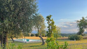 Un giardino con piscina, alberi e cielo sereno.