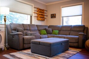 Télévision, cheminée, livres, médiathèque