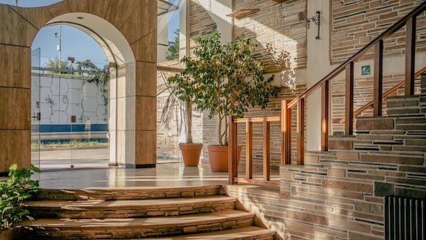 Une entrée moderne avec un escalier en pierre, un grand arbre en pot et une porte en verre.