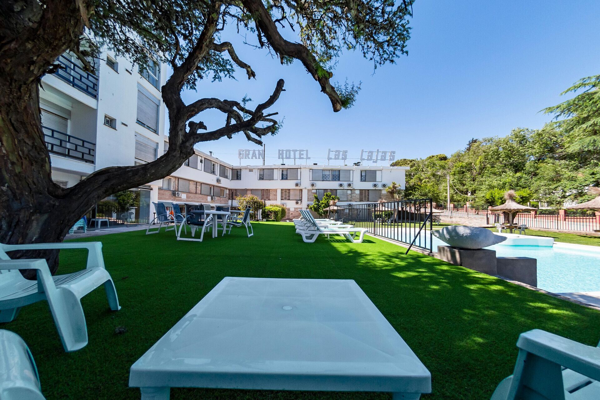 A hotel courtyard with a swimming pool, outdoor seating, and a large tree.