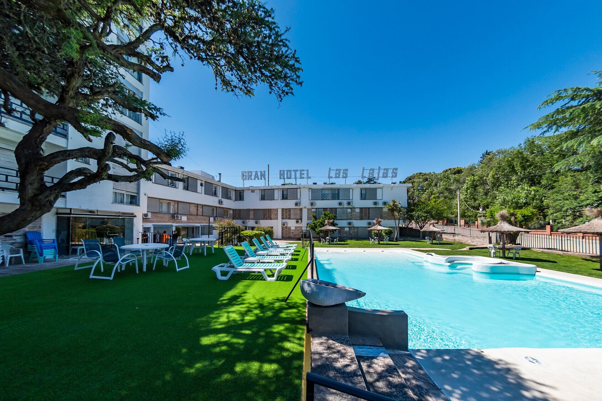 A hotel with a swimming pool, outdoor seating, and a large tree.