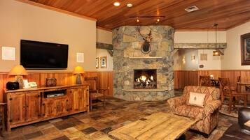 Televisión, chimenea y reproductor de DVD